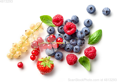 Image of composition of fresh berries and green leaves