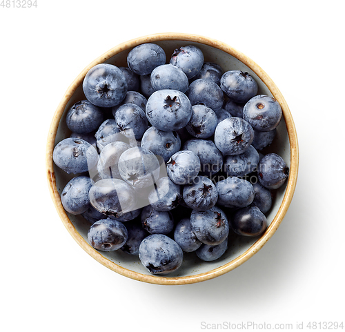 Image of bowl of fresh blueberries