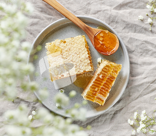 Image of plate of fresh honey combs