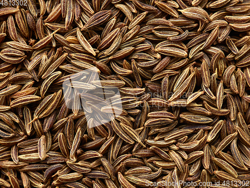 Image of cumin seeds background macro