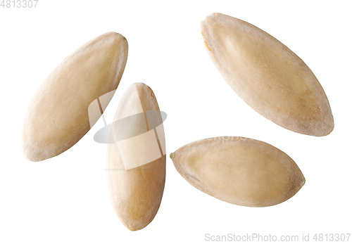 Image of cucumber seeds macro