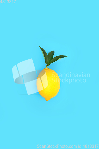 Image of Lemon Fruit for Extreme Summer Diet with Leaf Sprig