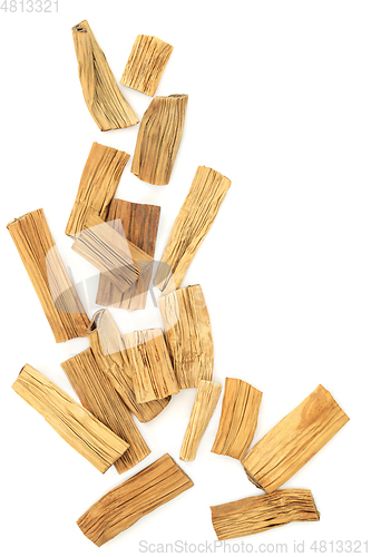 Image of Reed Root Chinese Herb Plant Medicine