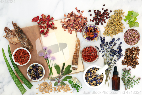 Image of Natural Herb Preparation for Herbal Medicine