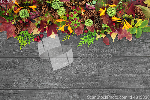 Image of Natural Autumn Nature Background Border