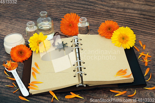 Image of Calendula Flowers for Herbal Medicine Recipes