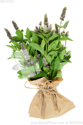 Image of Fresh Peppermint Herb for Food Seasoning 