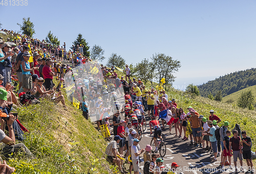 Image of The Peloton on Col du Grand Colombier - Tour de France 2016