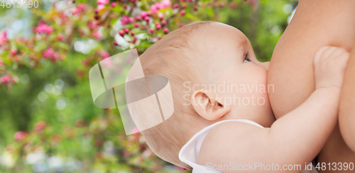 Image of close up of mother breastfeeding her baby