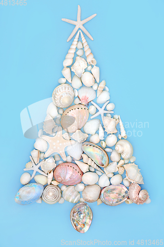 Image of Abstract Christmas Tree Shape with Seashells