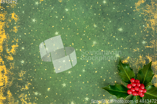 Image of Winter Christmas and New Year Background with Holly 
