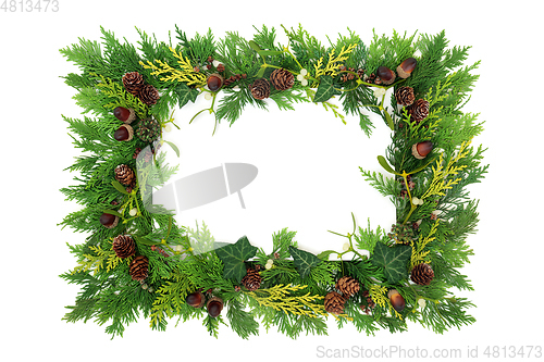 Image of Natural Winter Greenery Background with Cedar Leaves