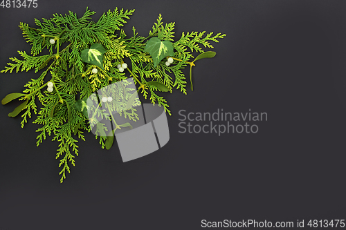 Image of Cedar Cypress Mistletoe and Ivy Winter Composition