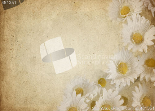 Image of flower parchment