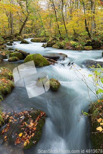 Image of Oirase Stream in autumn of Japan