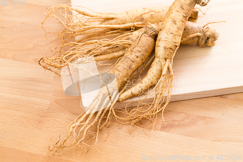 Image of Korean Ginseng