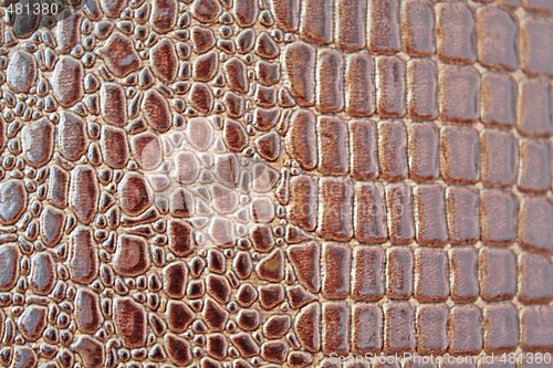 Image of Crocodile texture