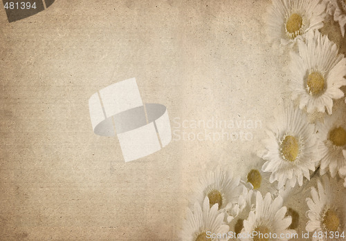 Image of flower parchment