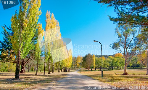 Image of path through the park