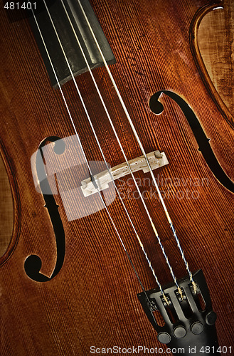 Image of cello or violin