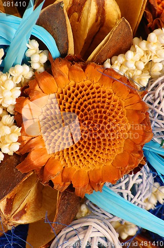 Image of Dry flowers