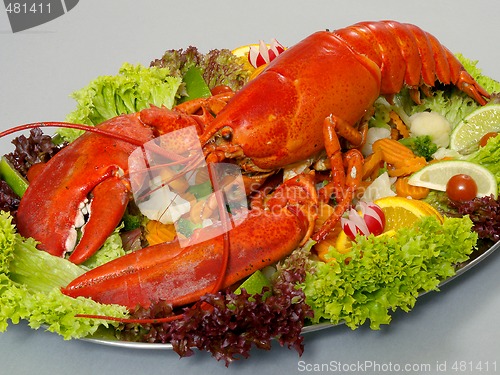 Image of Lobster