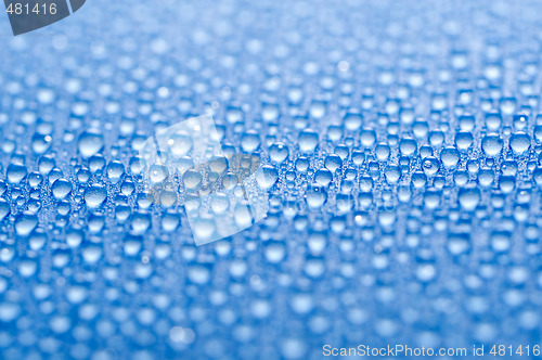 Image of Water drops