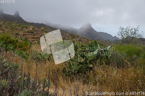 Image of view on Teno Mountains