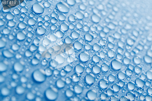 Image of Water drops