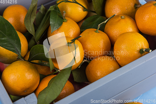 Image of Fresh tangerines in box with leaves