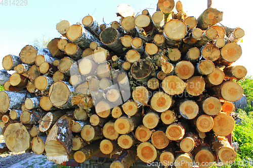 Image of lumber from sawn pines and birches for construction