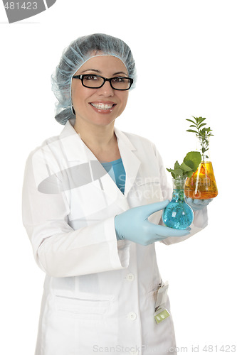 Image of Scientist cultivating plants