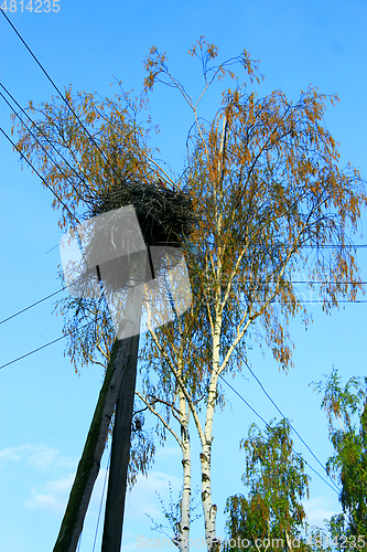 Image of Nest of storks on the telegraph-pole in village