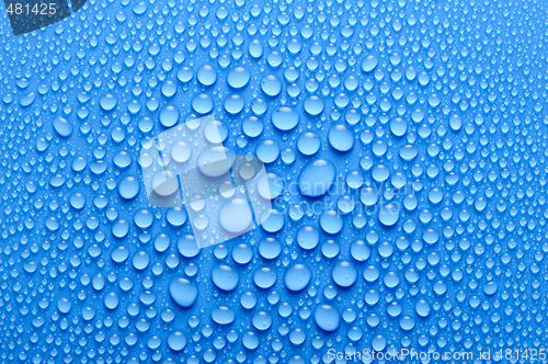 Image of Water drops