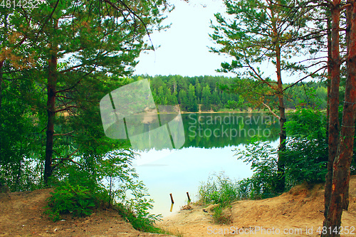 Image of lake in the forest