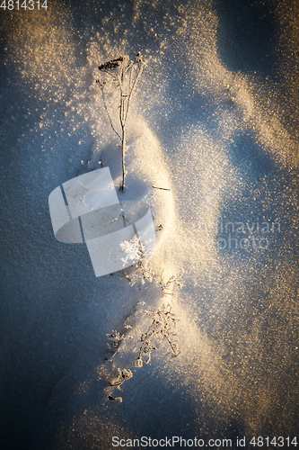 Image of After snowfall
