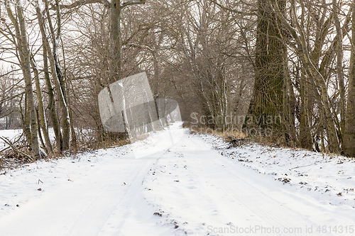 Image of snowy road, winter