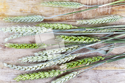 Image of Wheat spike