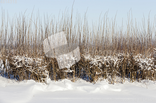 Image of Snow drifts in winter