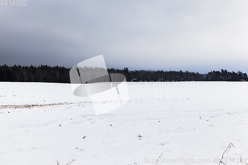 Image of Snow drifts in winter