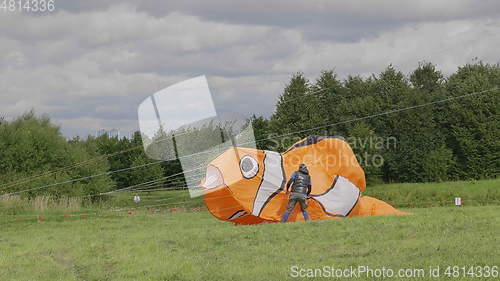 Image of MOSCOW - AUGUST 27: Feast of kites, the fish in the park on August 27, 2017 in Moscow, Russia