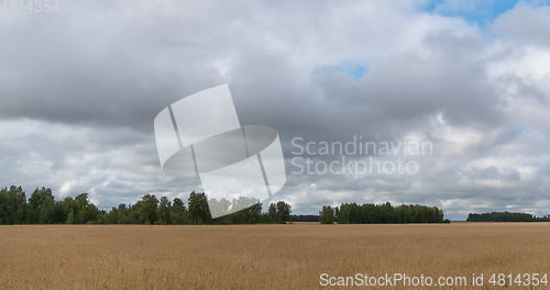 Image of landscape of wheat field at harvest
