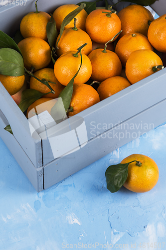 Image of Fresh tangerines in box with leaves