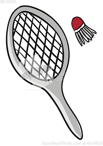 Image of A badminton and a shuttlecock vector or color illustration