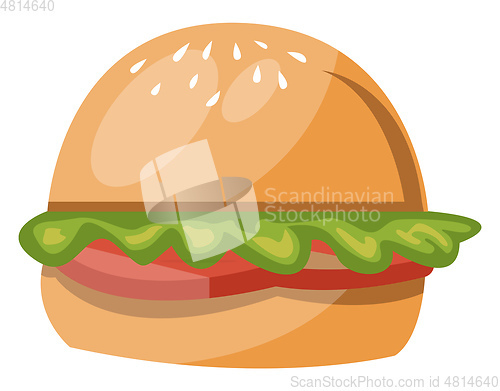 Image of Burger vector color illustration.