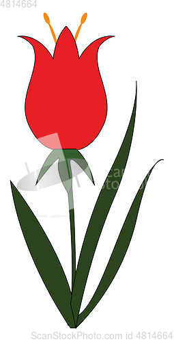 Image of A flower with red and brown petals vector or color illustration