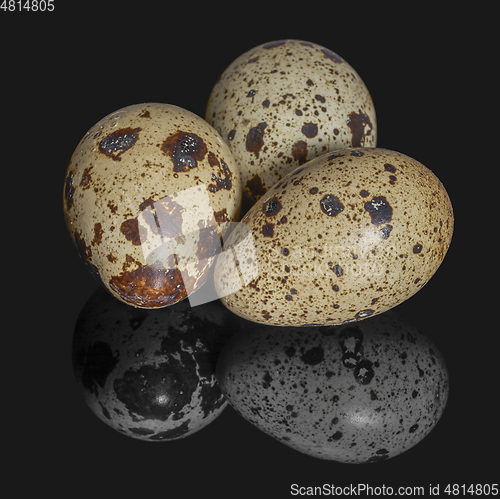 Image of three quail eggs