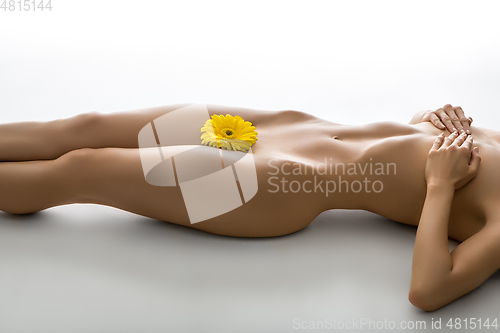 Image of beautiful woman naked body with flower between legs 