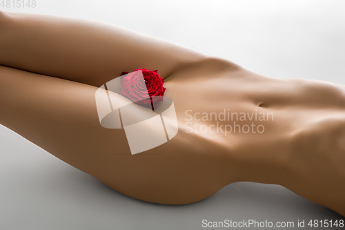 Image of beautiful woman naked body with flower between legs 