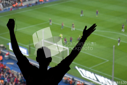 Image of Cheering soccer fan